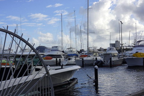 Oceanside 23 - Tourism Townsville 24