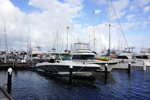Oceanside 23 - Tourism Townsville 23