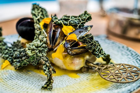 The Adnate Perth - Art Series - Tourism Townsville 8