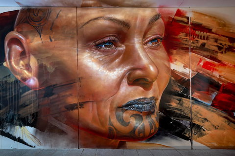 The Adnate Perth - Art Series - Tourism Townsville 18