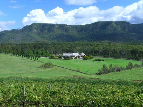 Grapevines Boutique Accommodation - Tourism Townsville 23