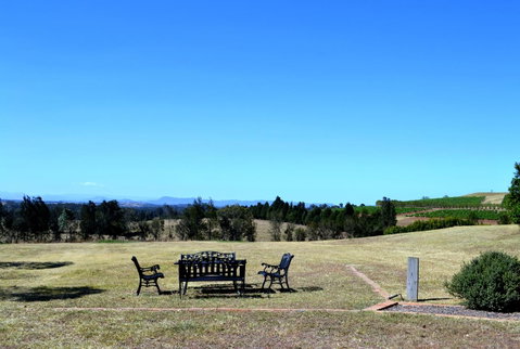 Grapevines Boutique Accommodation - Tourism Townsville 18