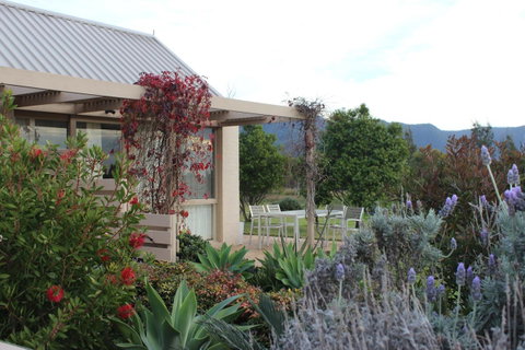 Grapevines Boutique Accommodation - Tourism Townsville 28