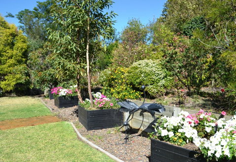 Grapevines Boutique Accommodation - Tourism Townsville 17