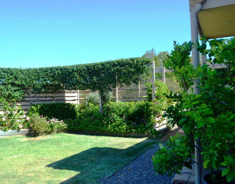 Grapevines Boutique Accommodation - Tourism Townsville 14