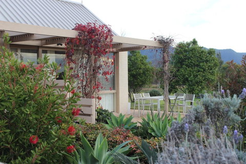 Grapevines Boutique Accommodation - Tourism Townsville 24