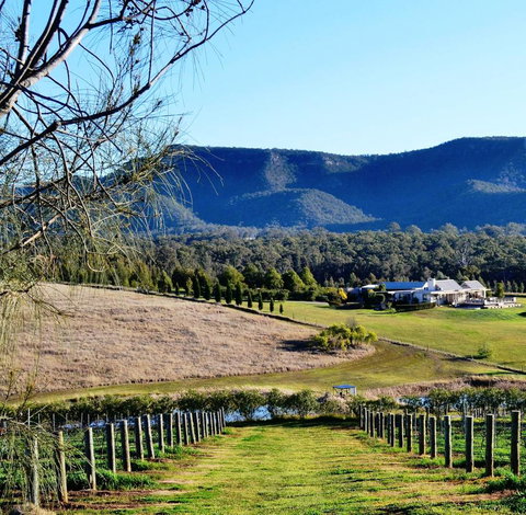 Grapevines Boutique Accommodation - Tourism Townsville 5