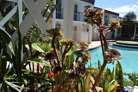 West Beach Lagoon 220 Stylish And Cozy - Tourism Townsville 18