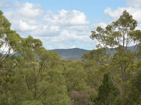 Villa Executive 2br Cypress DS Located Within Cypress Lakes Resort - Tourism Townsville 8