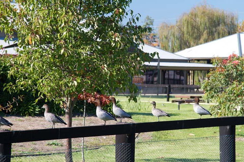 Potters Apartments - Tourism Townsville 25