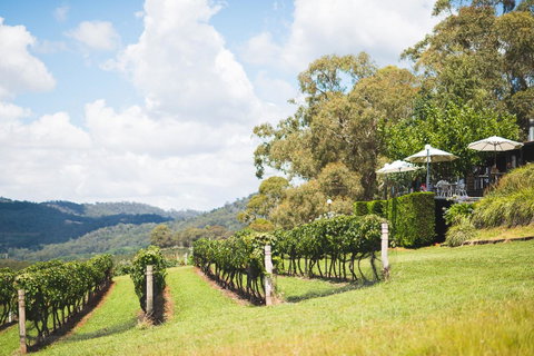 Borrodell Vineyard - Tourism Townsville 12