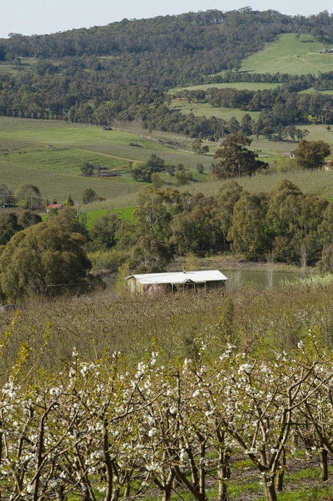 Borrodell Vineyard - Tourism Townsville 30