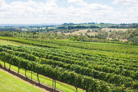 Borrodell Vineyard - Tourism Townsville 29