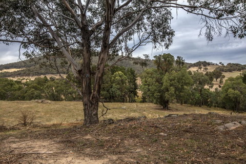 Pound Creek Gallery - Tourism Townsville 29