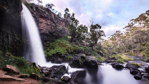 Pound Creek Gallery - Tourism Townsville 14