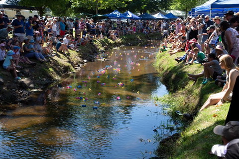 Pound Creek Gallery - Tourism Townsville 15