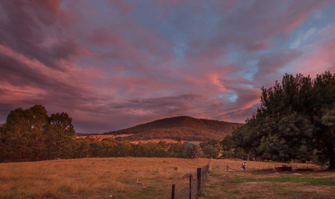 Pound Creek Gallery - Tourism Townsville 28