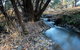 Pound Creek Gallery - thumb 26