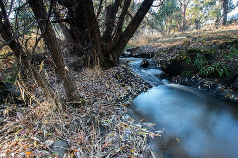 Pound Creek Gallery - Tourism Townsville 26