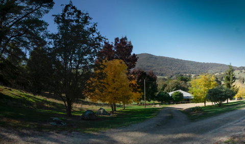 Pound Creek Gallery - Tourism Townsville 7