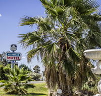 Allonville Gardens Motel - Tourism Townsville