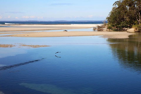 Jervis Bay Beach Shack I Pet Friendly - Tourism Townsville 19