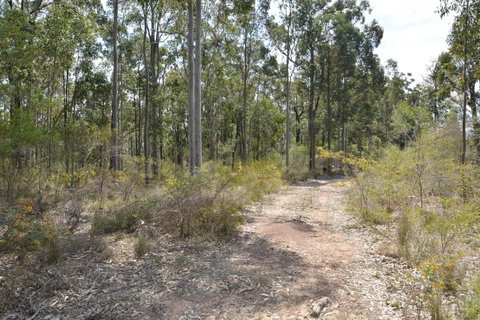JE Guesthouse, Central To All The Hunter Valley Has To Offer - Tourism Townsville 44