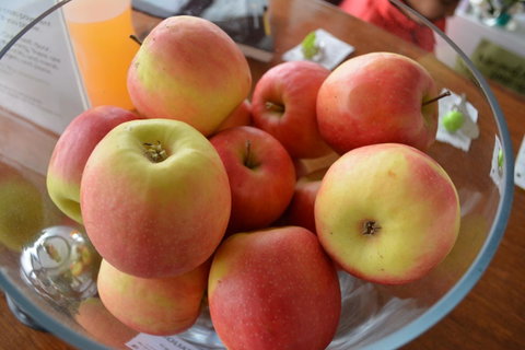 The Apple Inn - Tourism Townsville 12