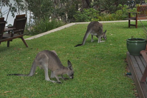 By The Beach B&B Self Contained Apartments - Tourism Townsville 28