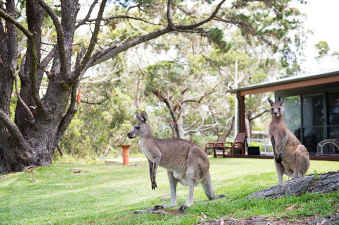 By The Beach B&B Self Contained Apartments - Tourism Townsville 17