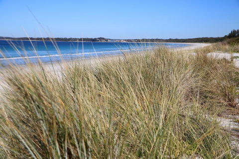 Sandy Toes Beach House Jervis Bay - 2min To Beach - Tourism Townsville 23