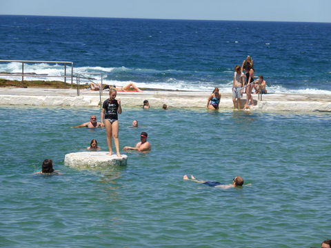 Arena Luxury Beachfront Apartment - Tourism Townsville 33