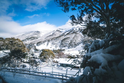 Pure Chalet Thredbo - Tourism Townsville 31