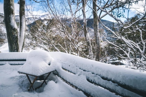 Pure Chalet Thredbo - Tourism Townsville 19