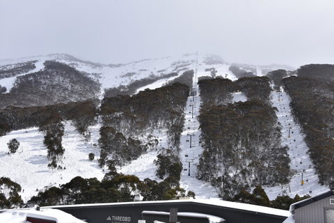 Pure Chalet Thredbo - Tourism Townsville 6