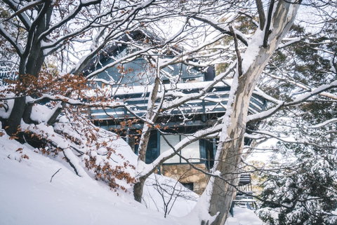 Pure Chalet Thredbo - Tourism Townsville 27
