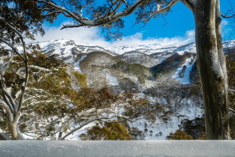 Pure Chalet Thredbo - Tourism Townsville 17