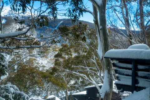 Pure Chalet Thredbo - Tourism Townsville 30