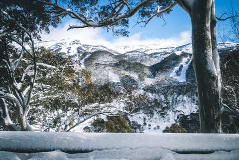 Pure Chalet Thredbo - Tourism Townsville 2