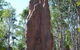 'Tropical Oasis - Darwin NT - thumb 31
