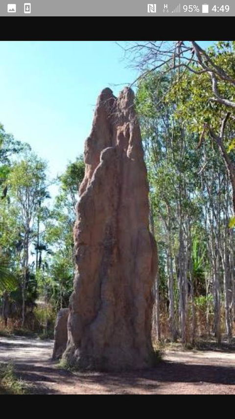 'Tropical Oasis - Darwin NT - Tourism Townsville 31
