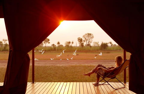 Wildman Wilderness Lodge - Tourism Townsville 12