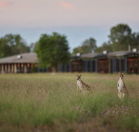 Wildman Wilderness Lodge - Tourism Townsville
