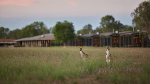 Wildman Wilderness Lodge - Tourism Townsville 0