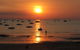 Elsey On Parap - thumb 9