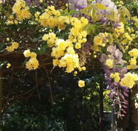 Bowral Road Bed and Breakfast - Tourism Townsville