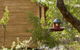 Bussells Bushland Cottages - thumb 3