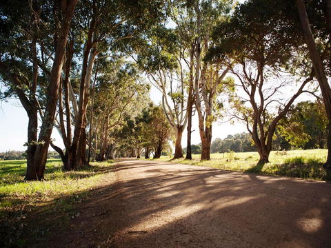 Bussells Bushland Cottages - Tourism Townsville 1