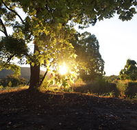 Clarendon Forest Retreat - Tourism Townsville
