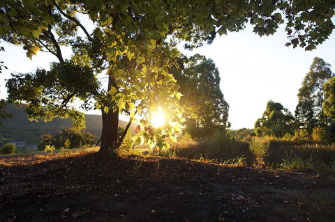 Clarendon Forest Retreat - Tourism Townsville 0
